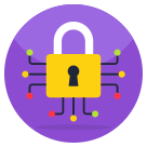 external Encryption-hacking-flat-icons-vectorslab icon