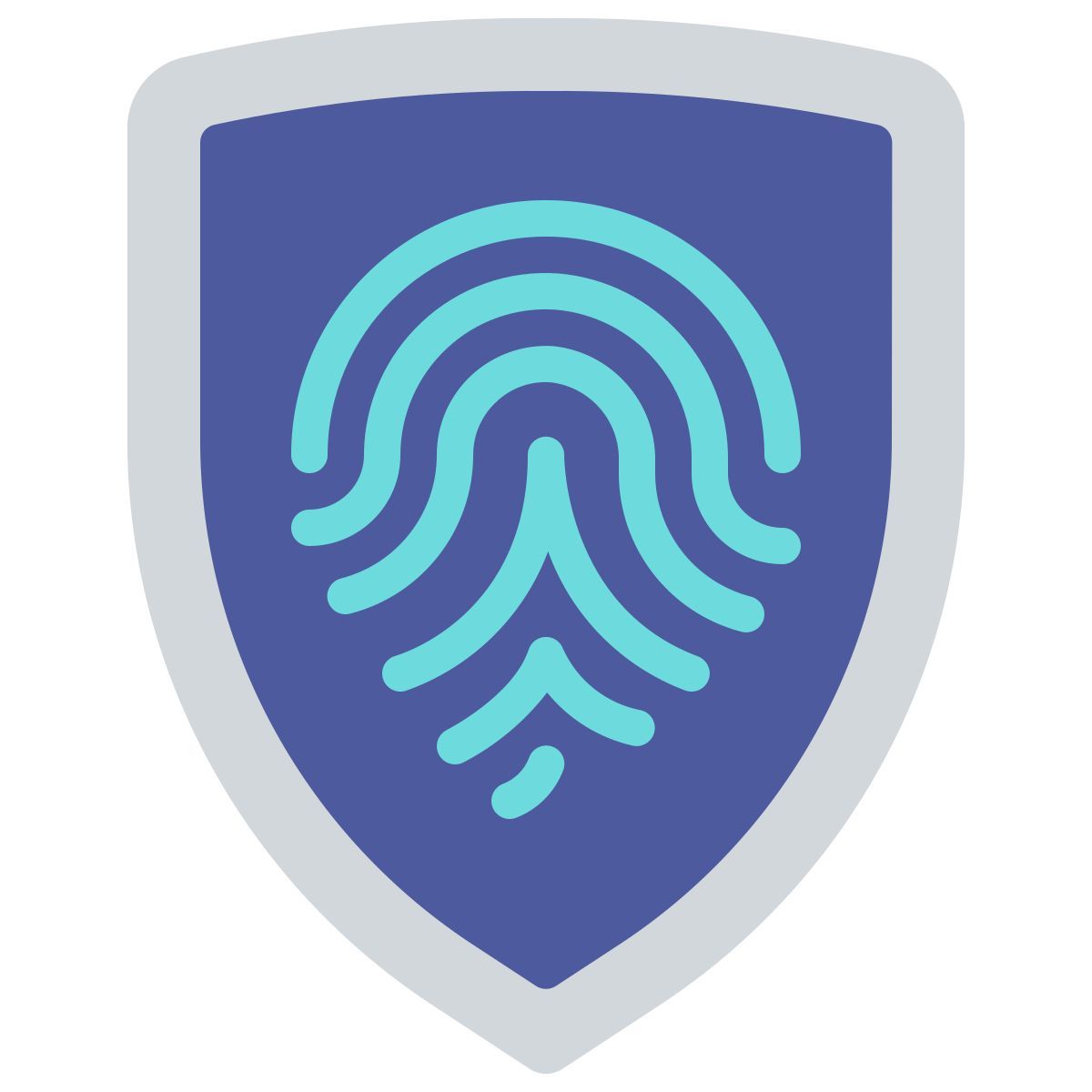 biometrics icon