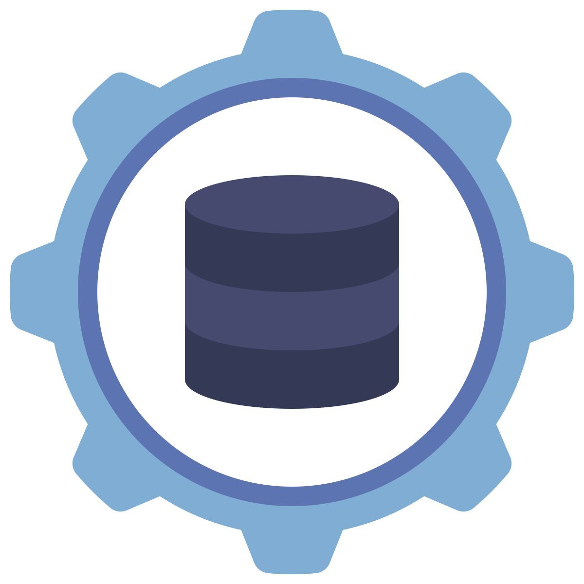 data icon