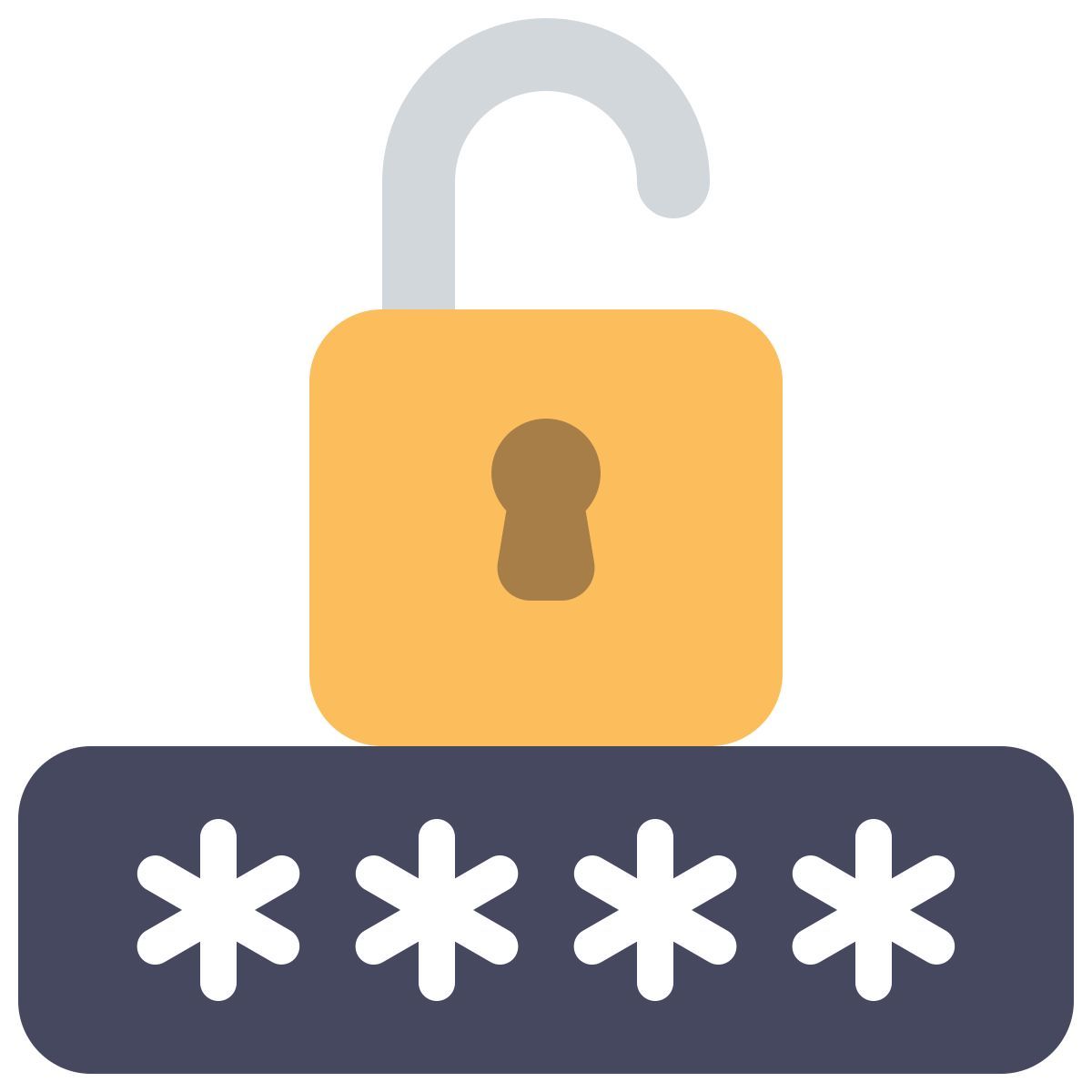 password icon