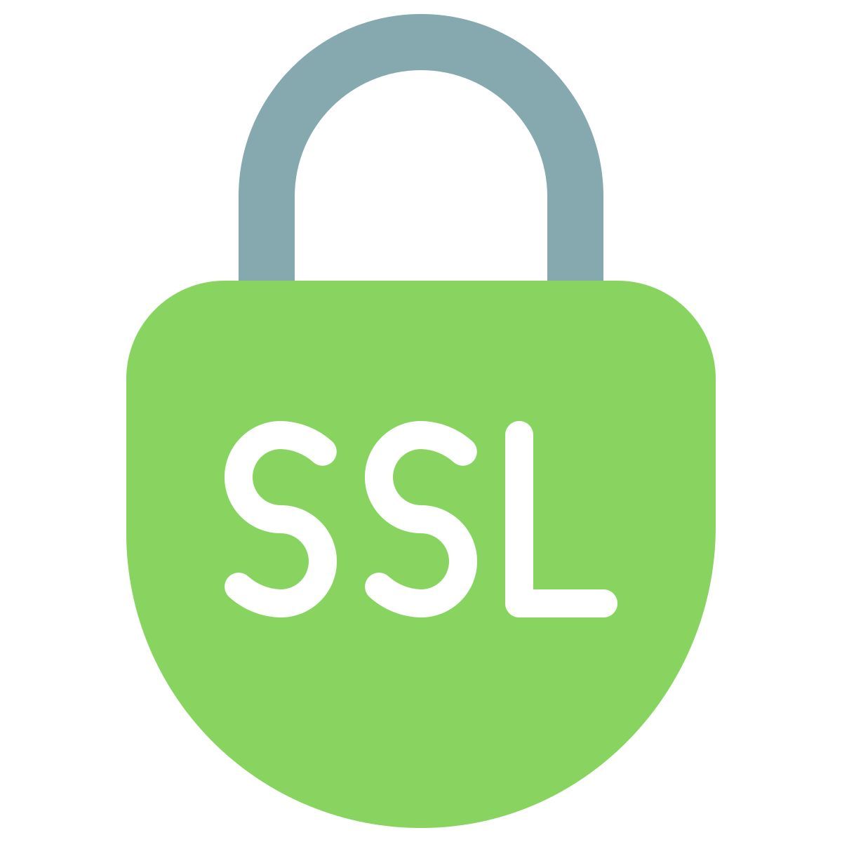 ssl icon
