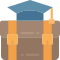 external bag-education-flat-flat-juicy-fish icon