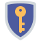 external shield-keys-and-locks-flat-flat-juicy-fish icon