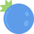 external blueberry-fruit-flat-flat-juicy-fish icon