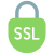 external-ssl-banking-flat-flat-juicy-fish