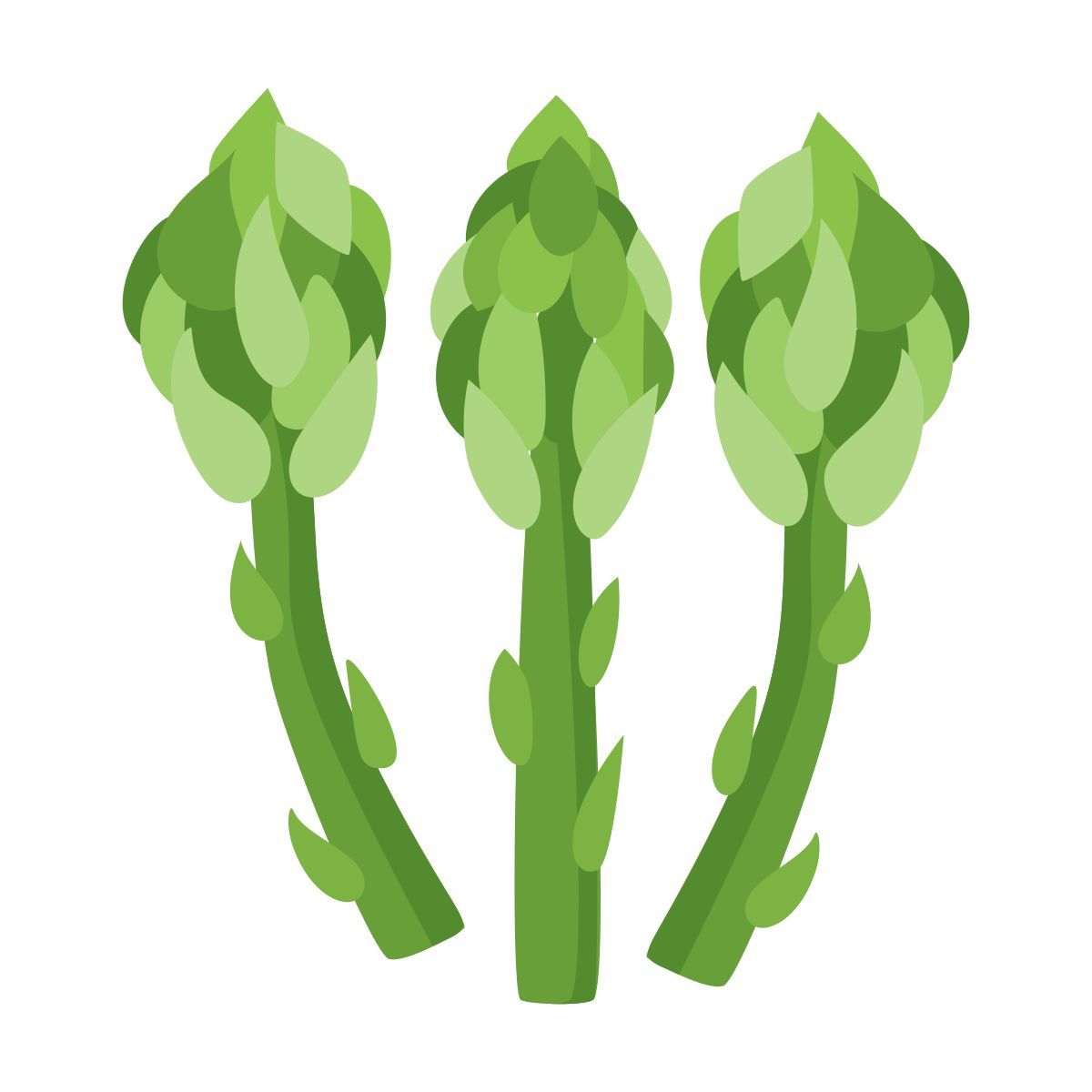 Cibo icon