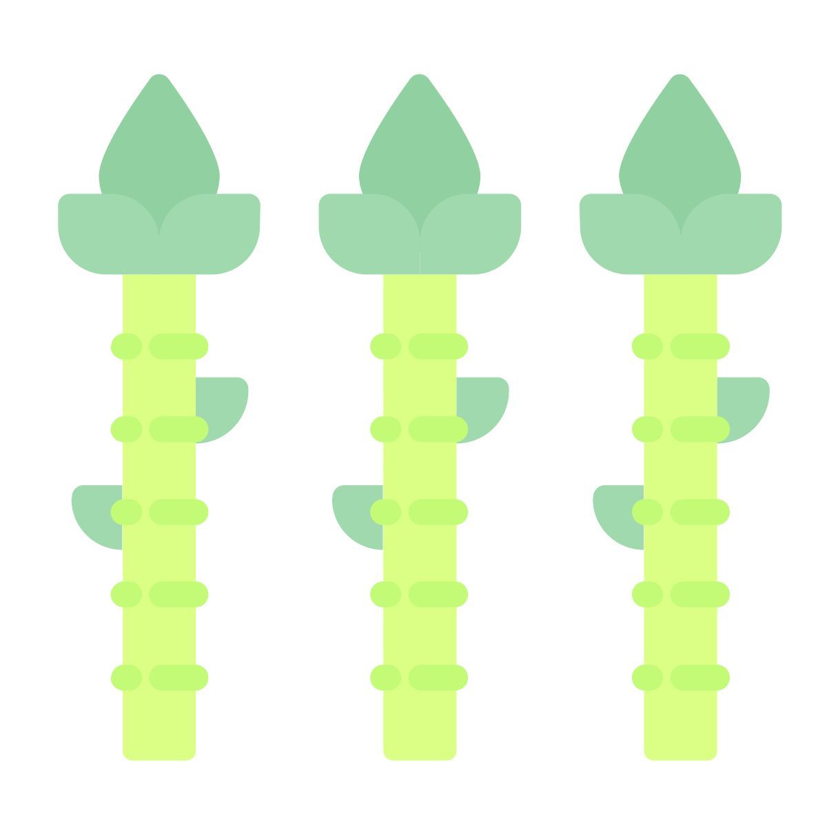 asparagus icon