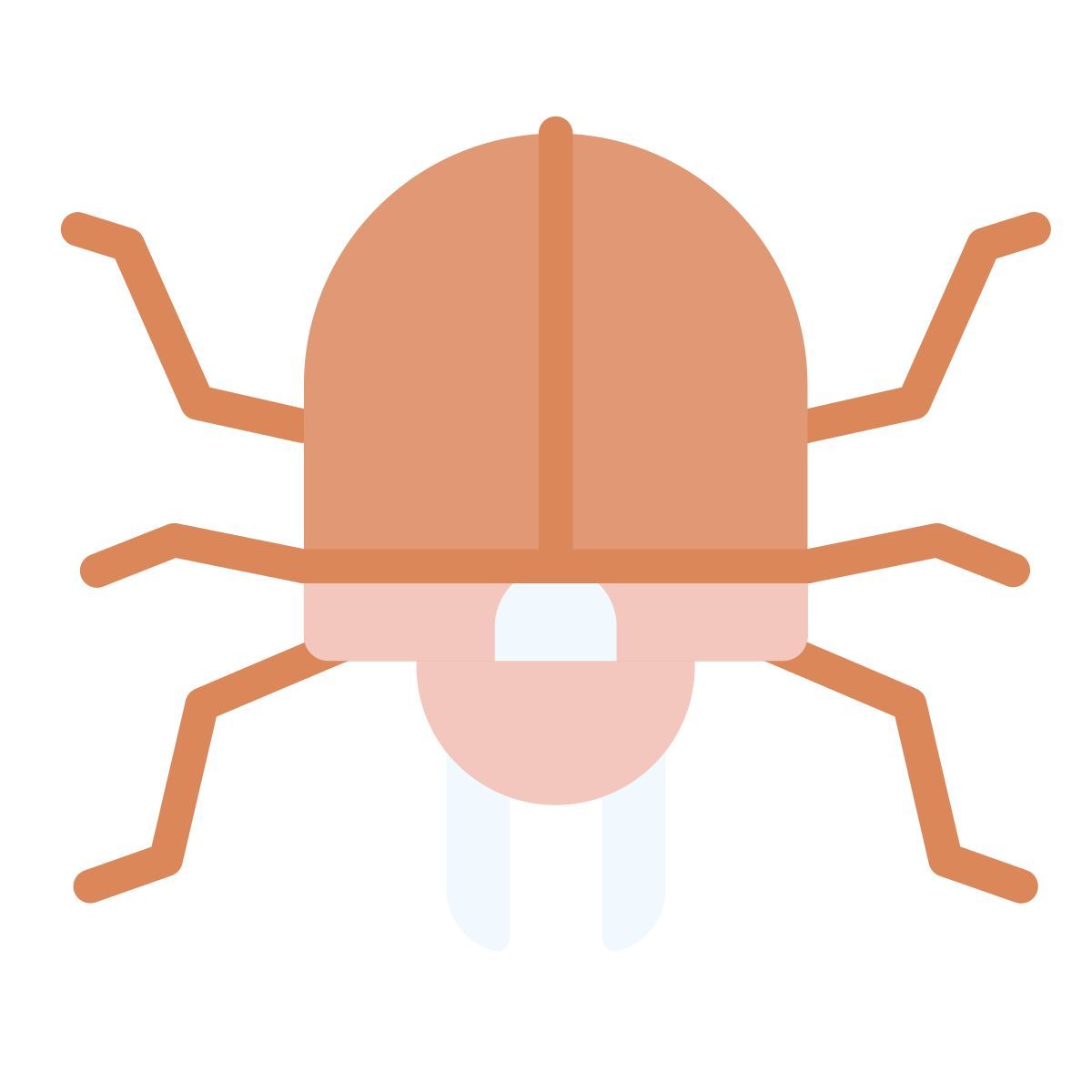 beetle icon
