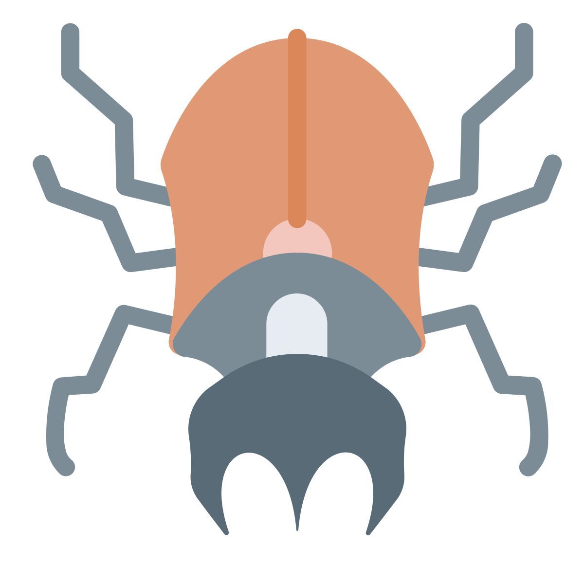 beetle icon
