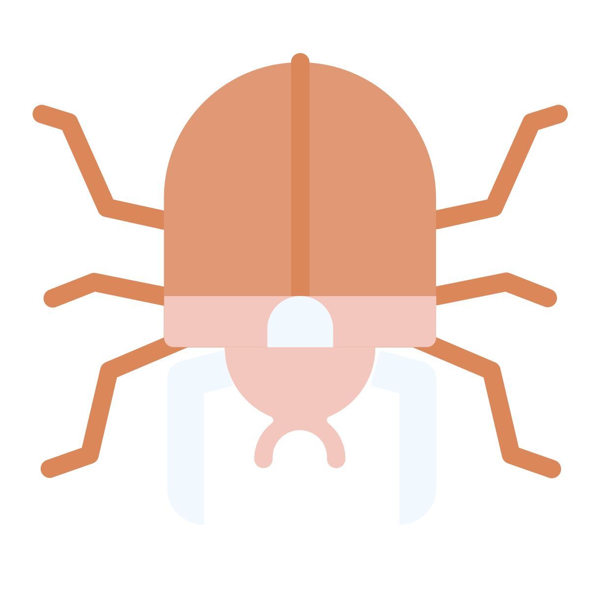 beetle icon