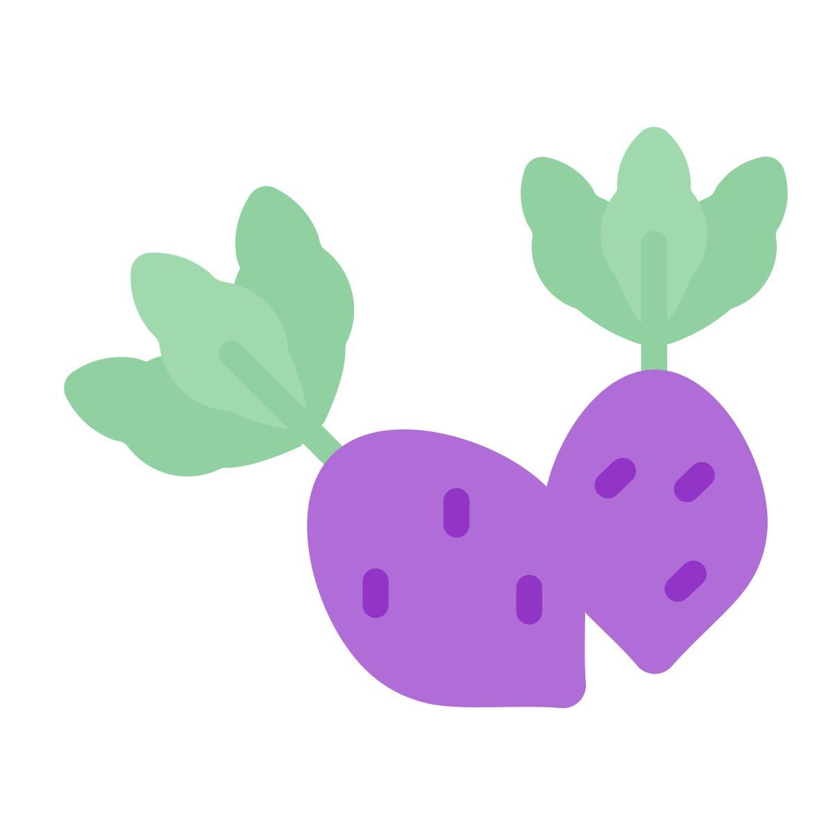 beetroot icon