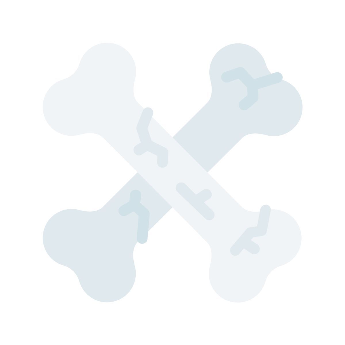bones icon