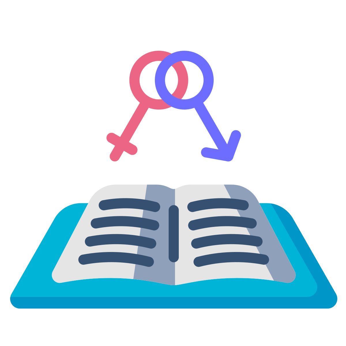 libro icon