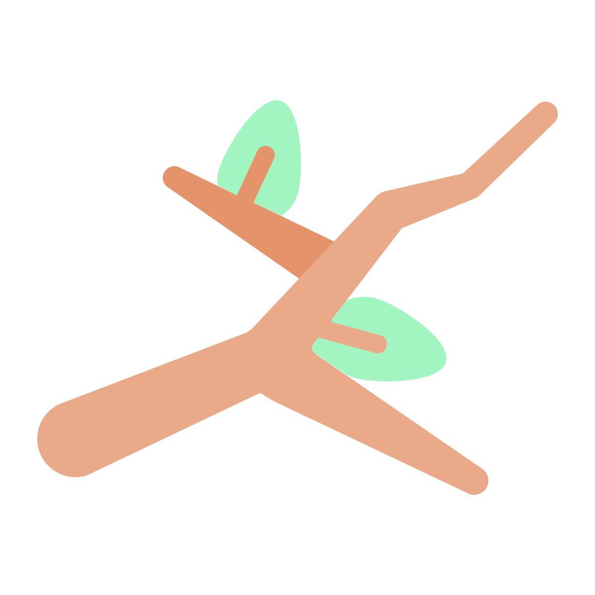 branch icon