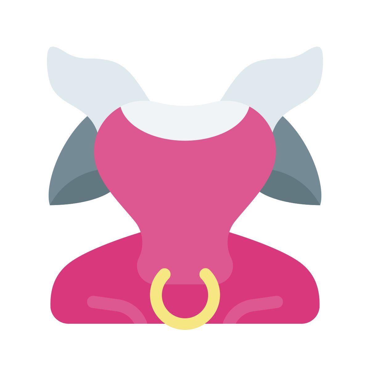 touro icon