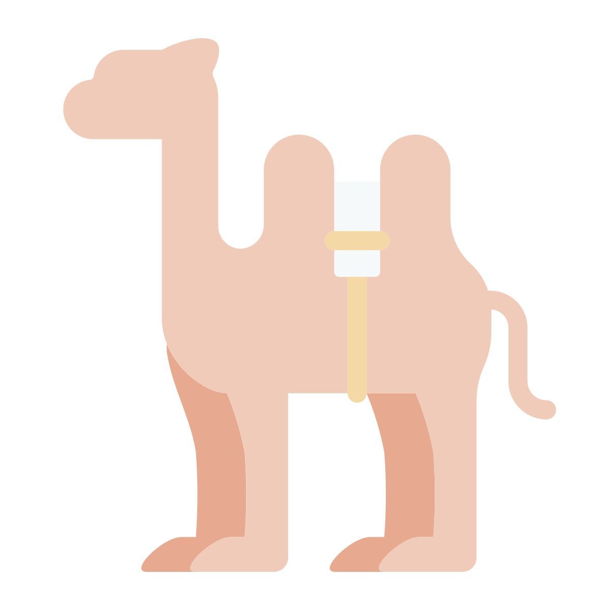 camel icon