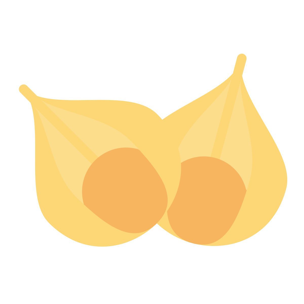 cape gooseberry icon