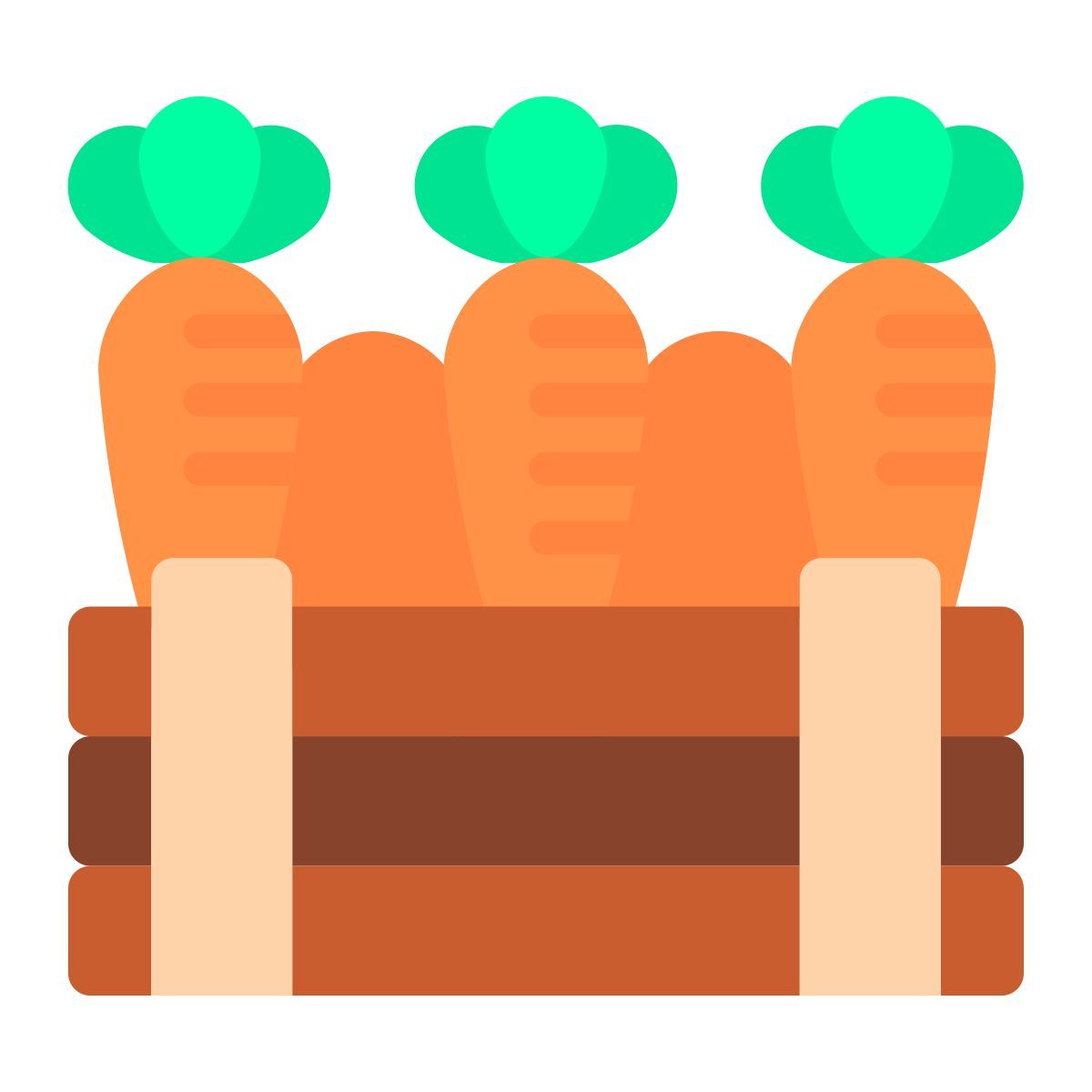 carrots icon