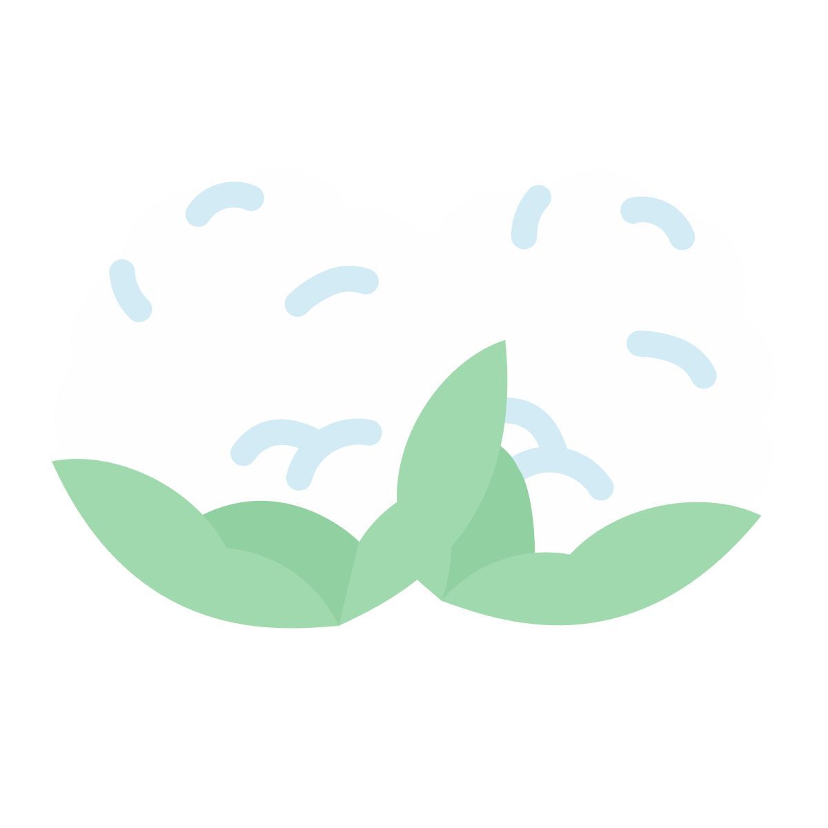 cauliflower icon