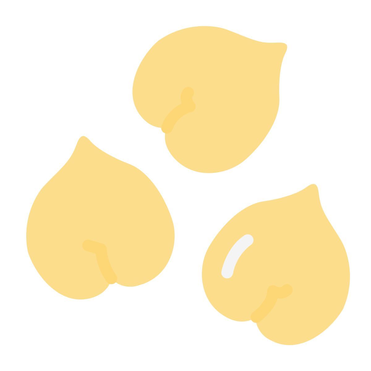 chickpea icon