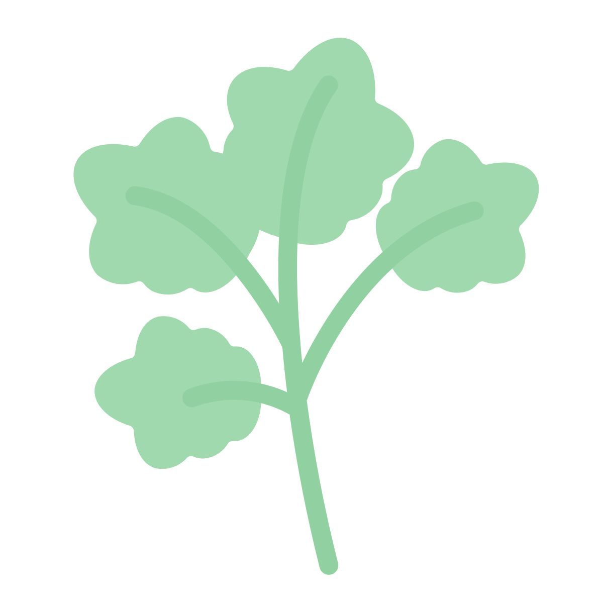 coriander icon