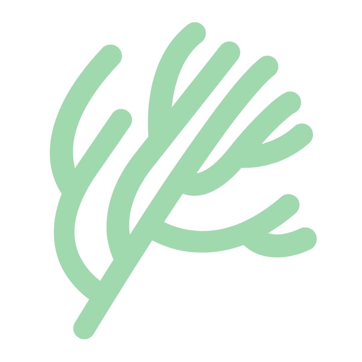 dill icon