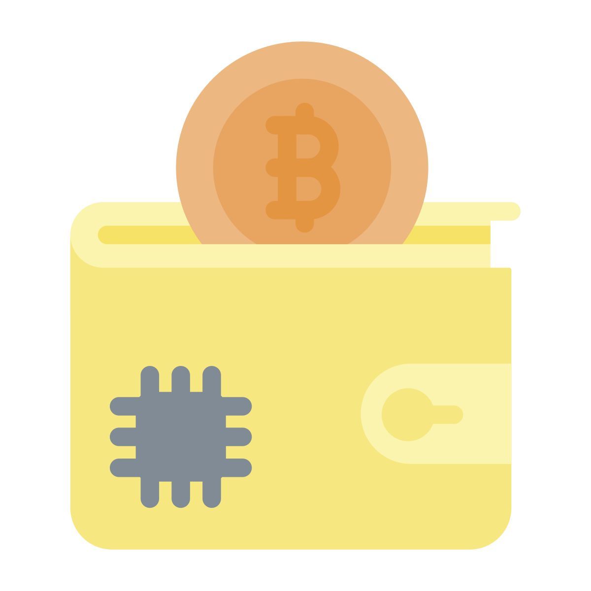 electronic wallet icon