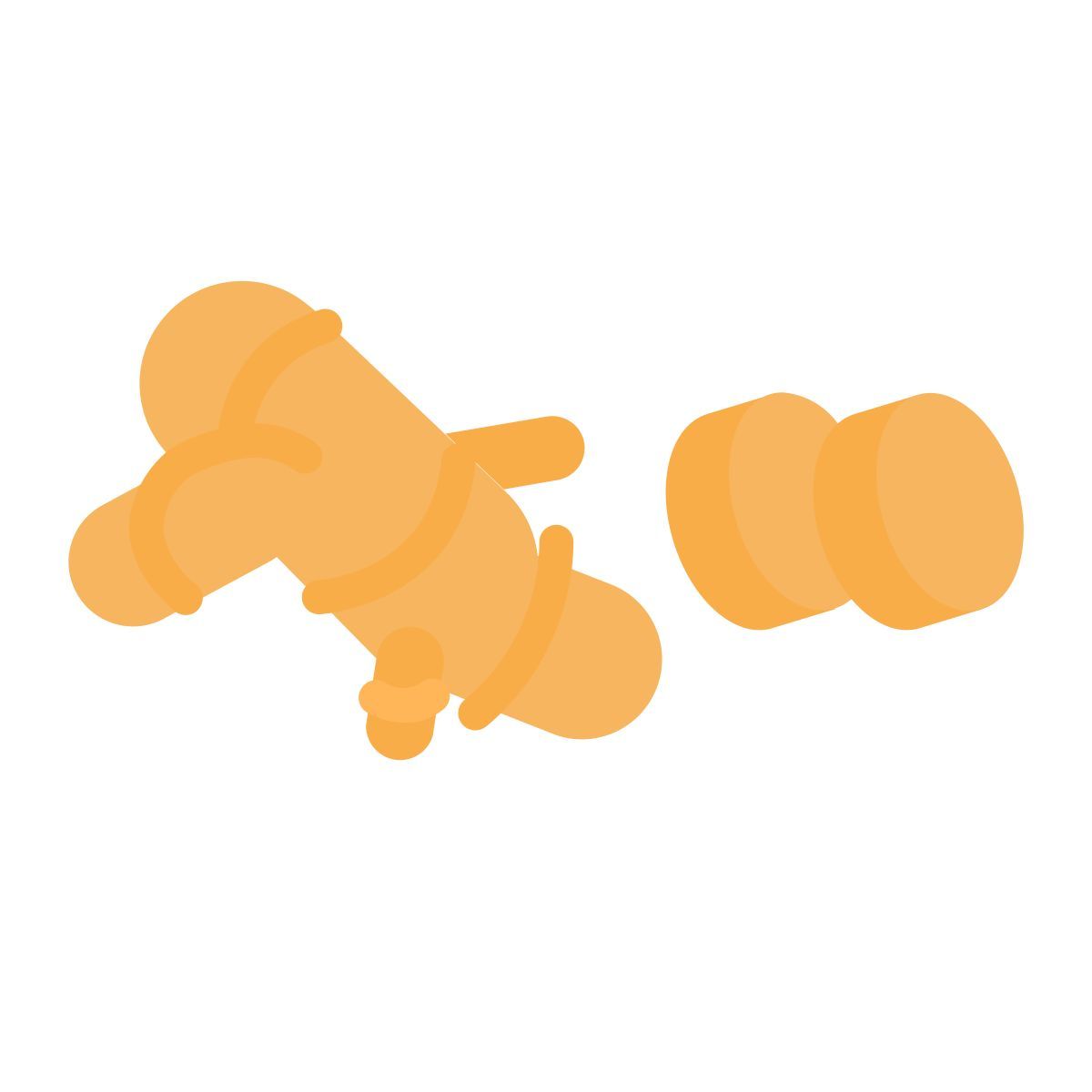 ginger icon