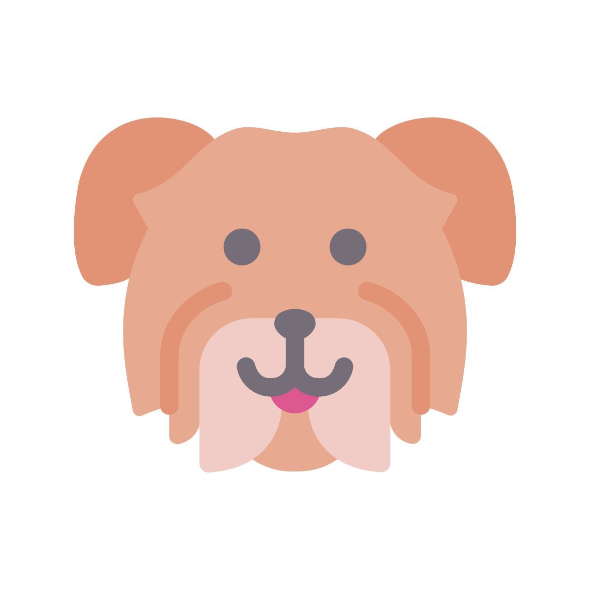 havanese dog icon