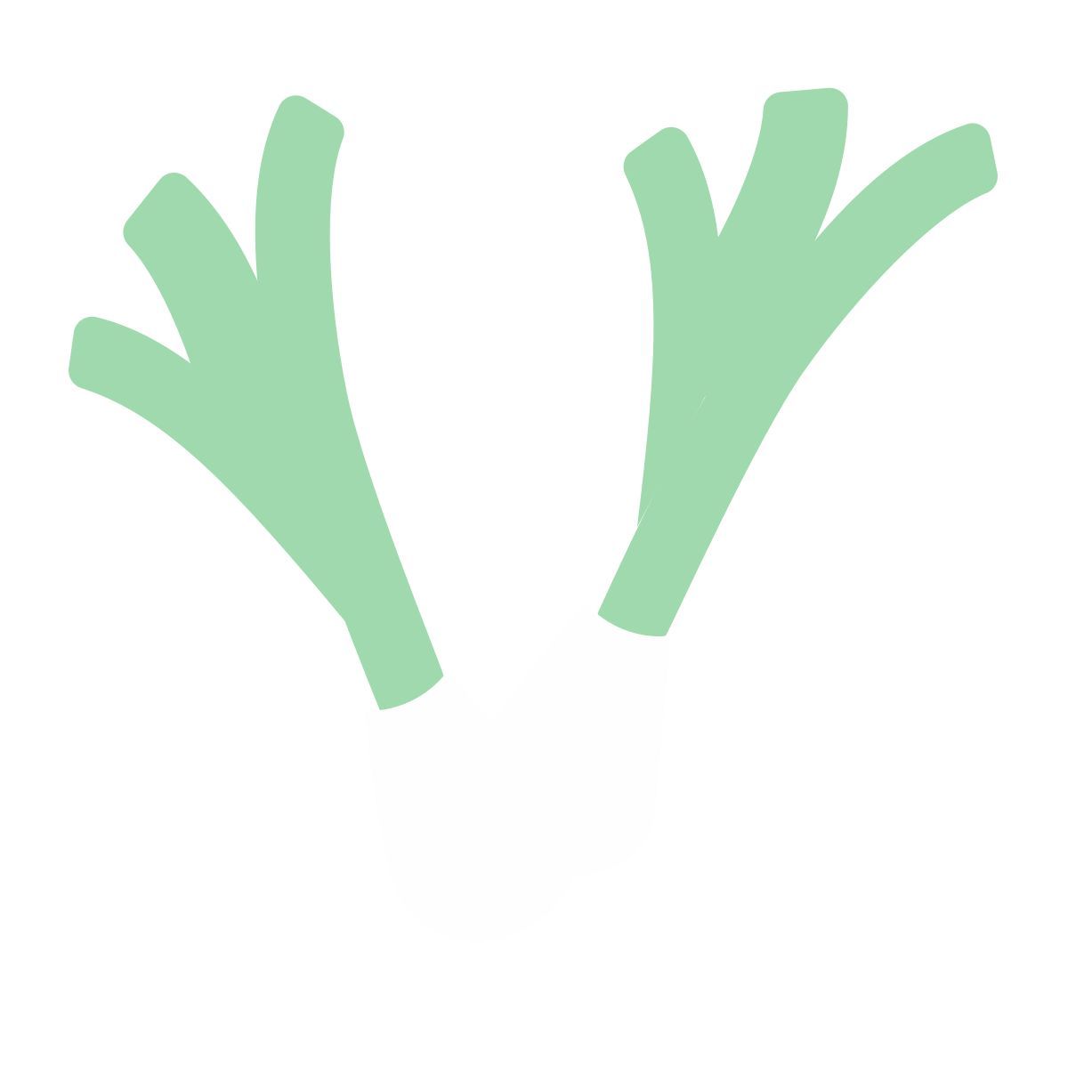 onion icon