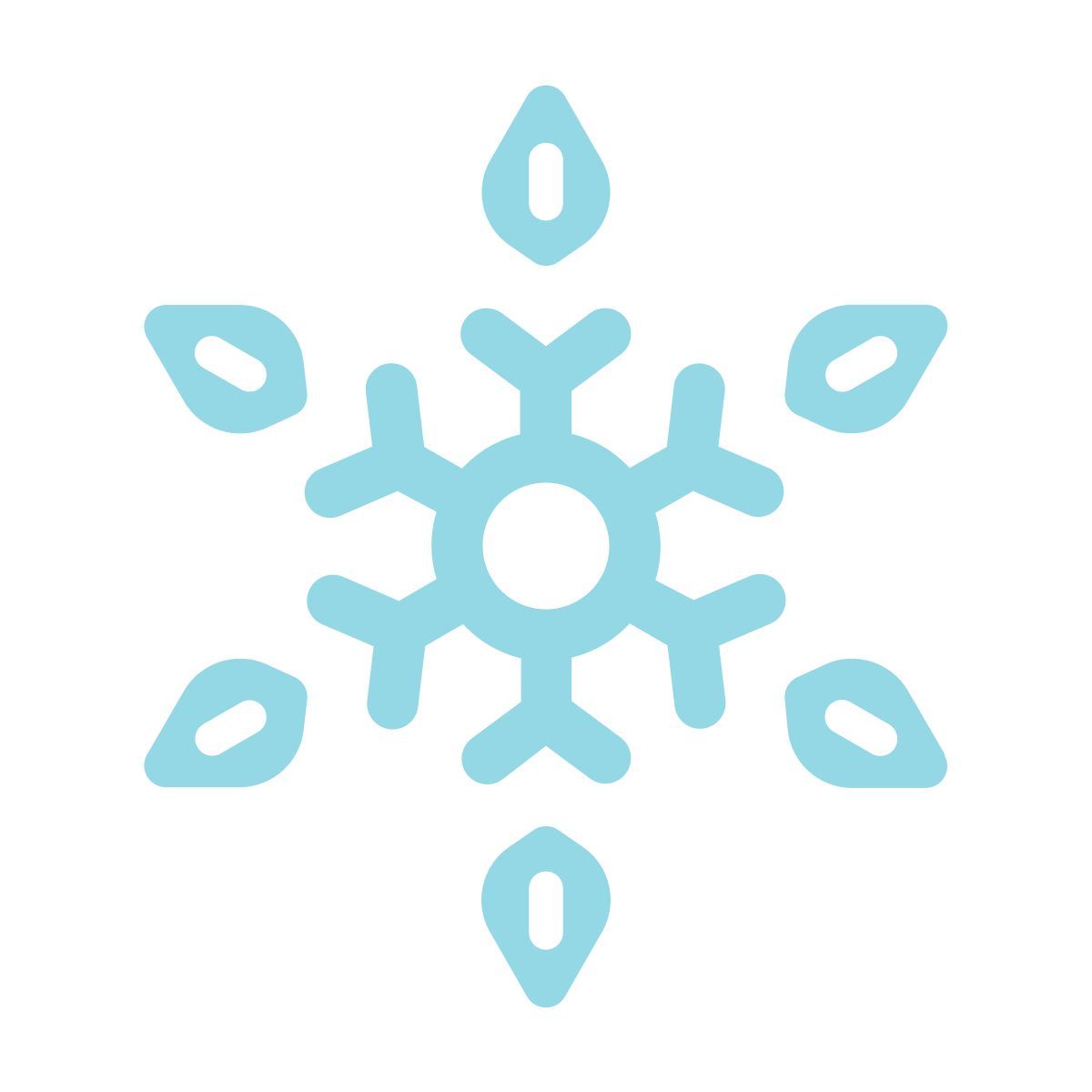 snowflake icon