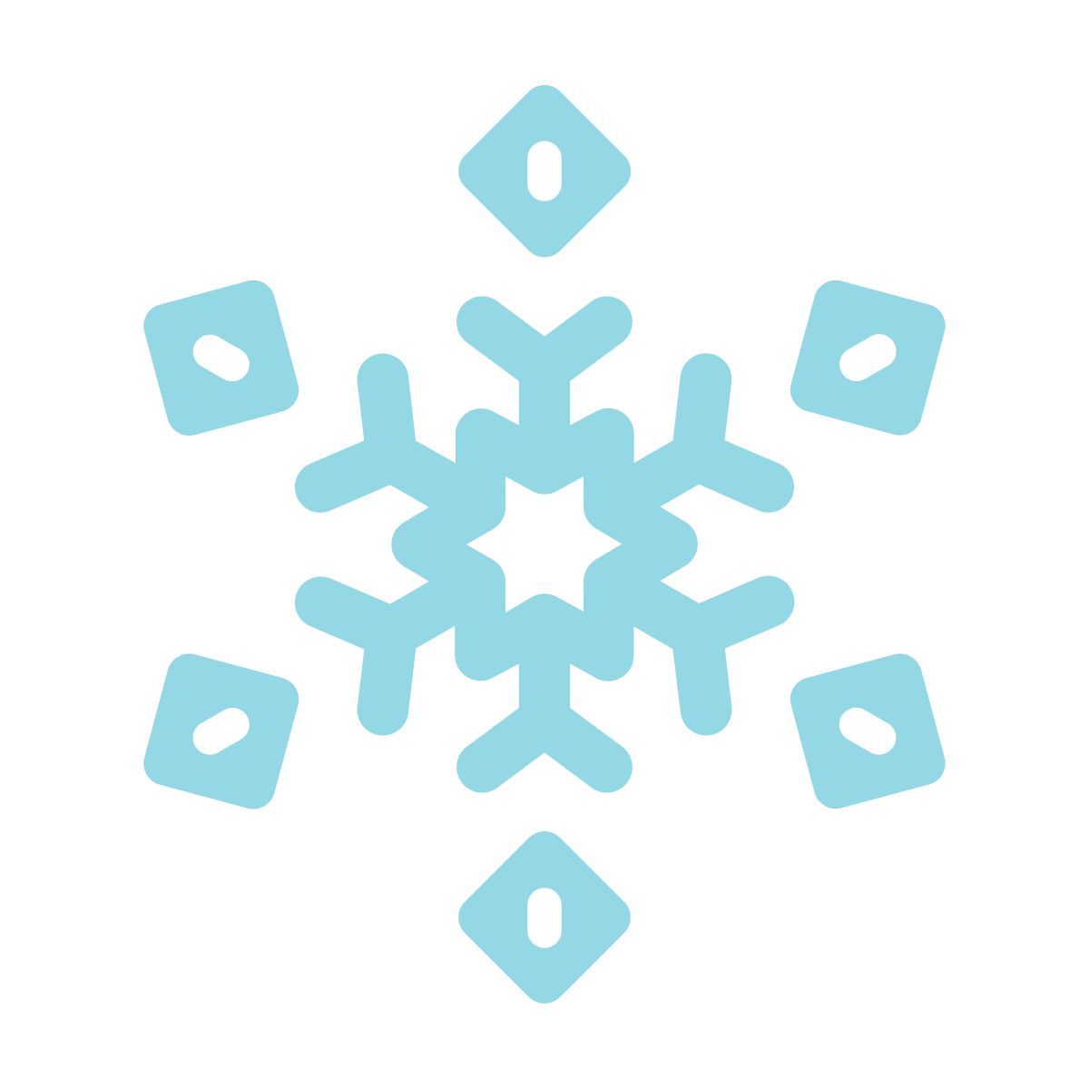 snowflake icon