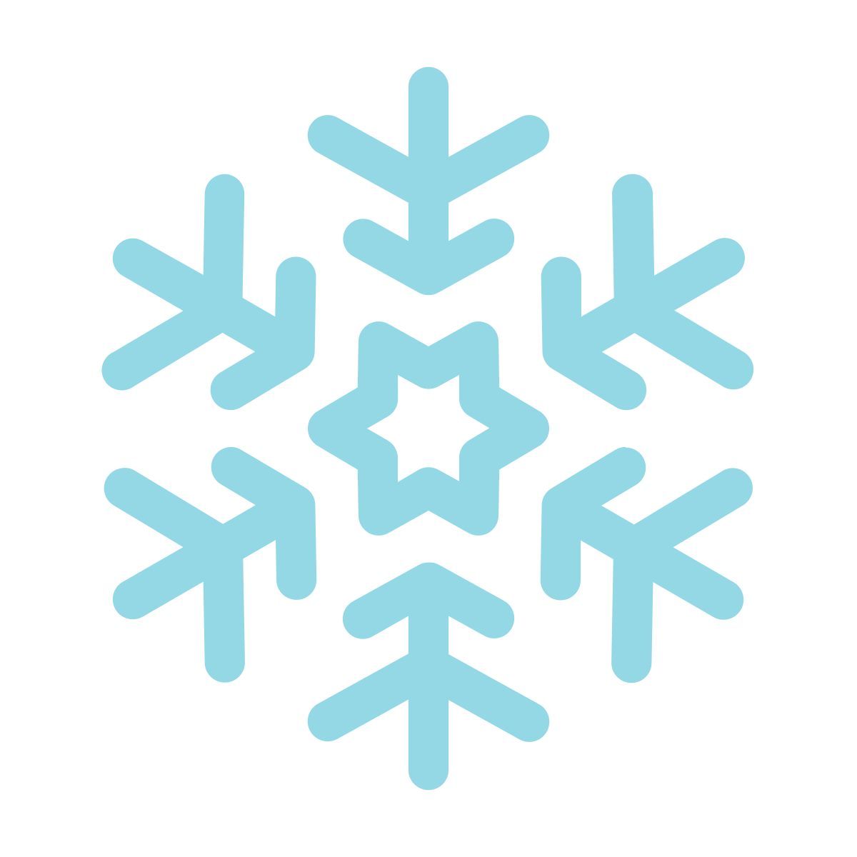 snowflake icon