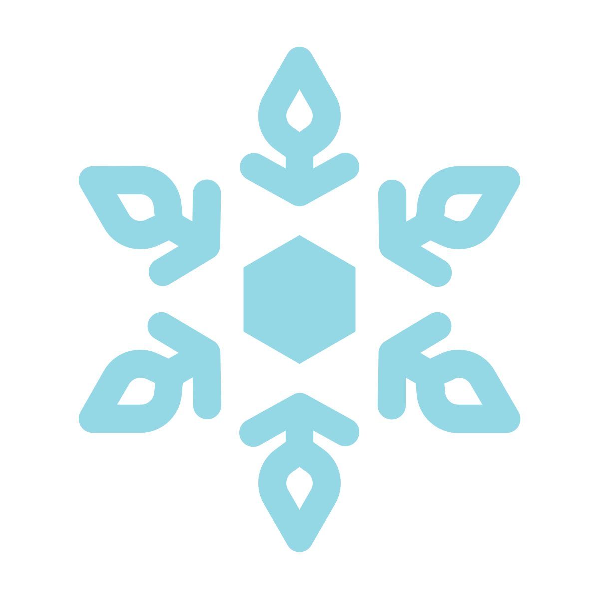 snowflake icon