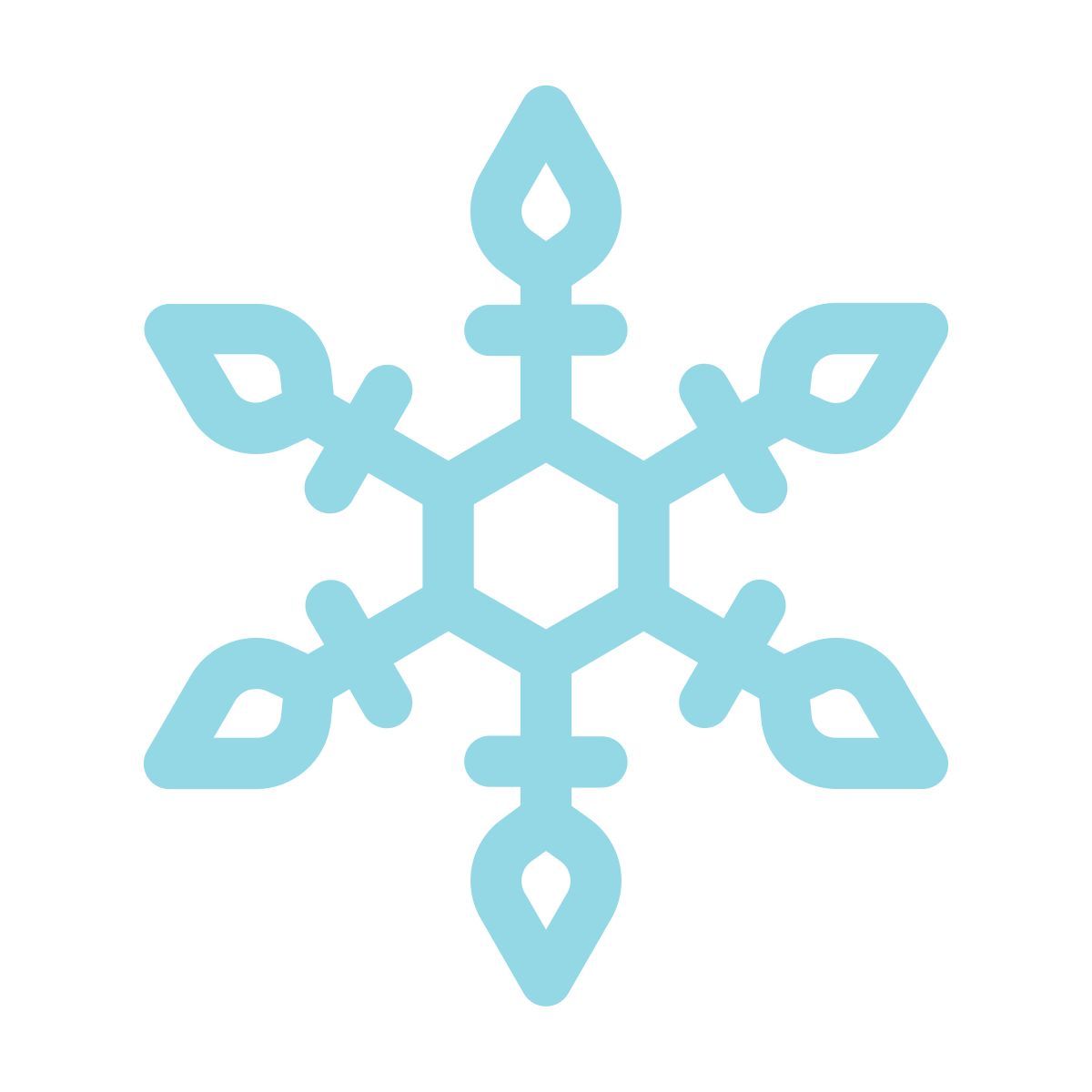 snowflake icon