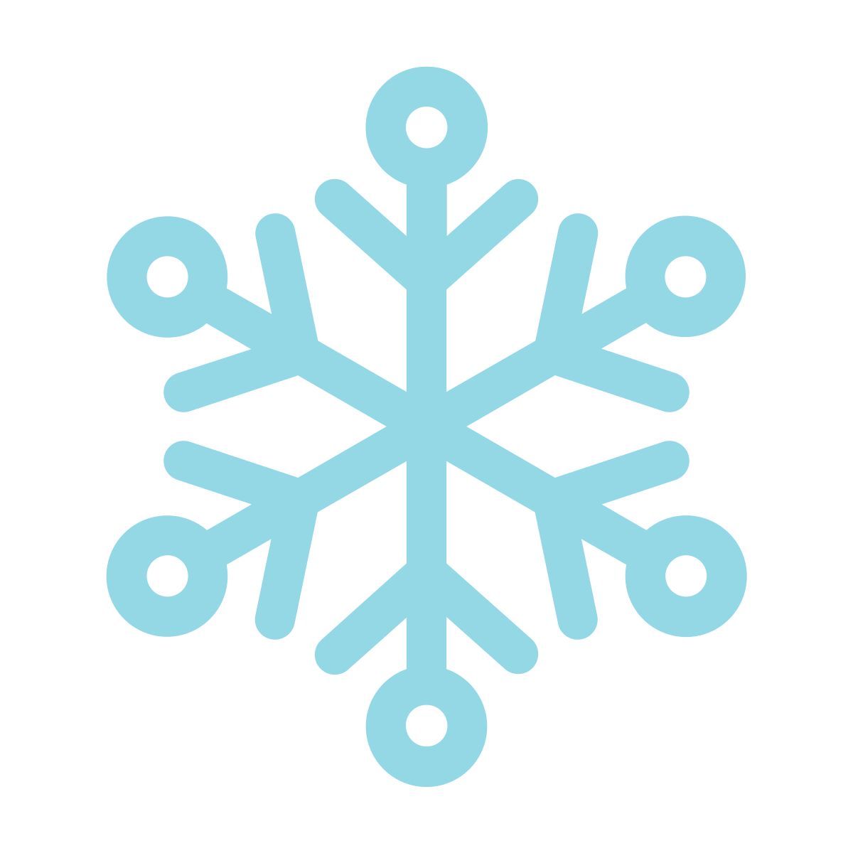 snowflake icon