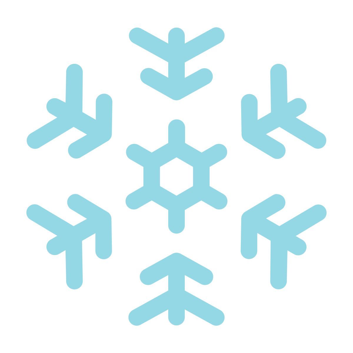 snowflake icon