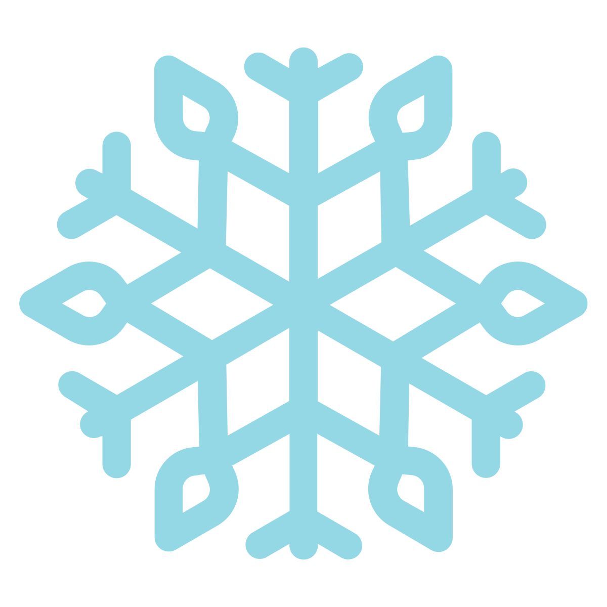 snowflake icon