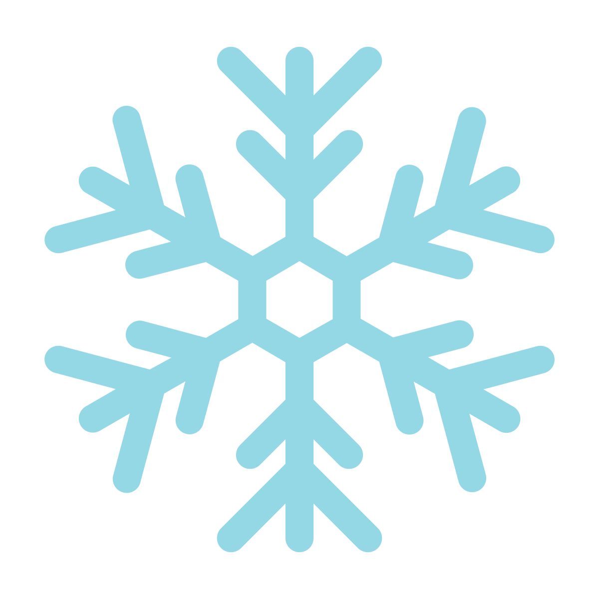 snowflake icon