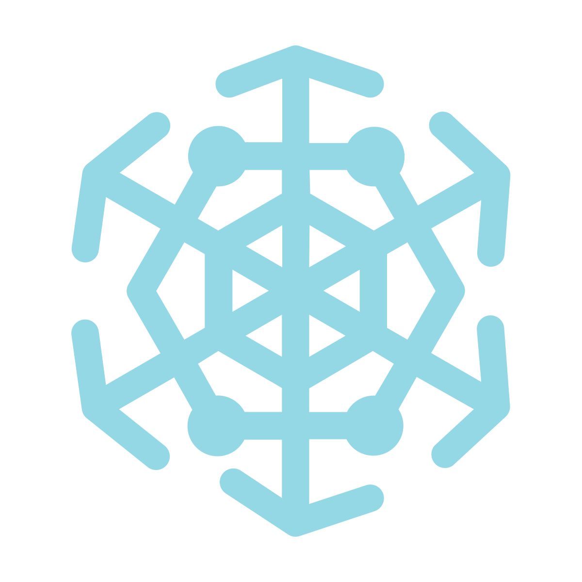 snowflake icon