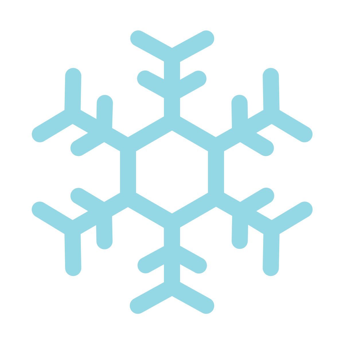 snowflake icon