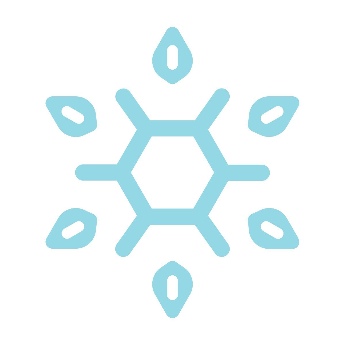 snowflake icon