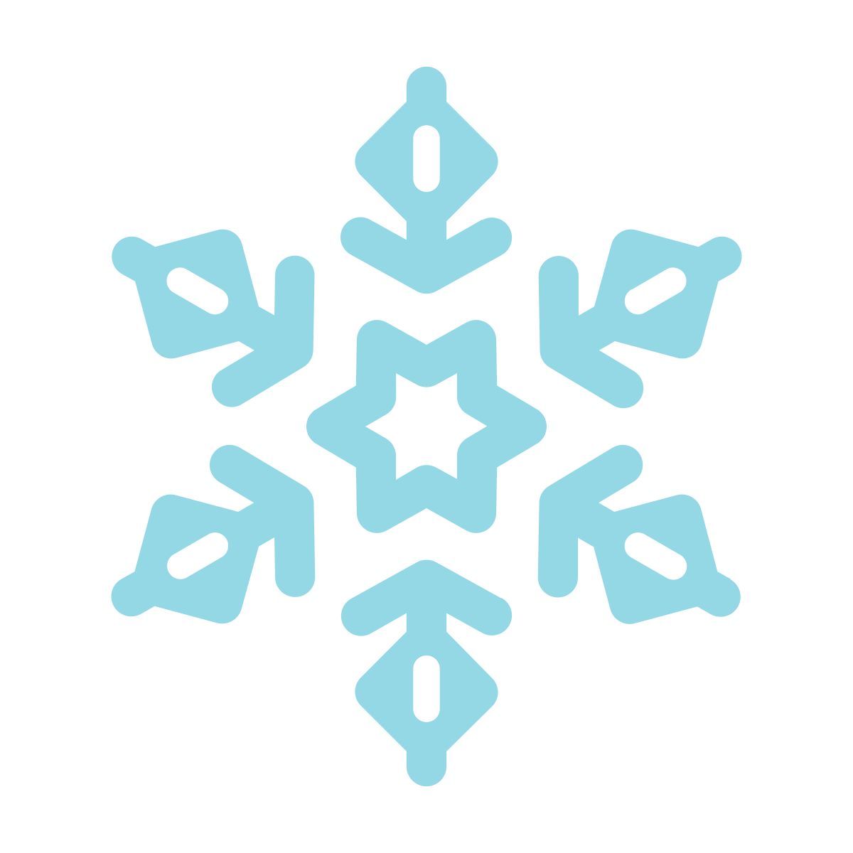 snowflake icon