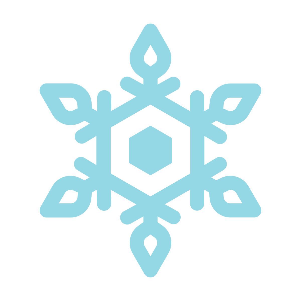 snowflake icon