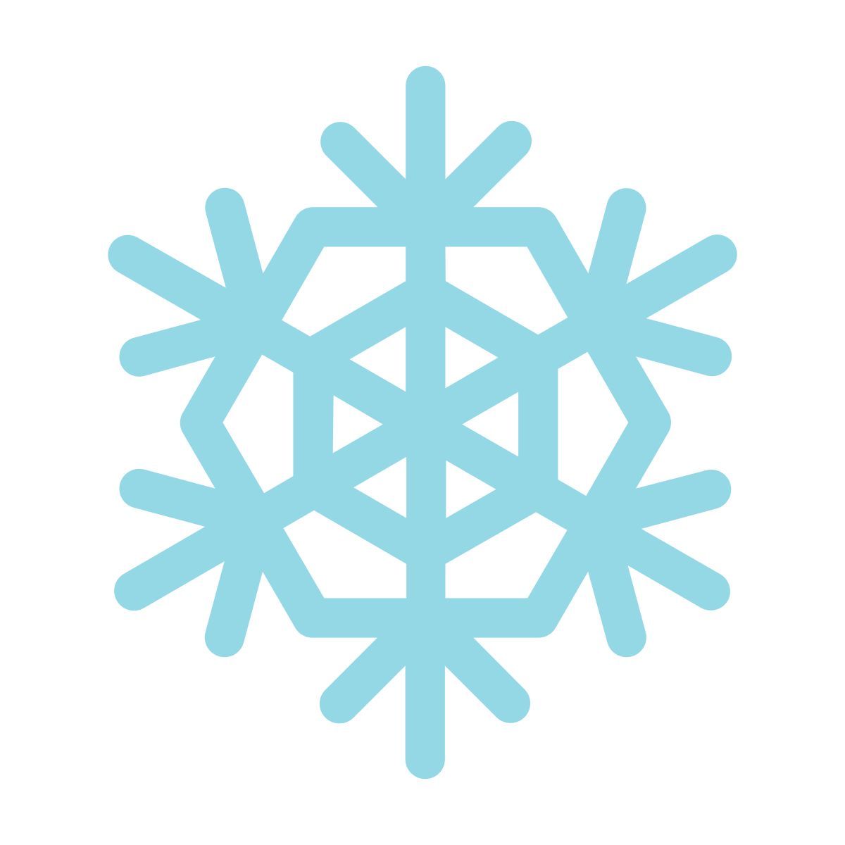 snowflake icon