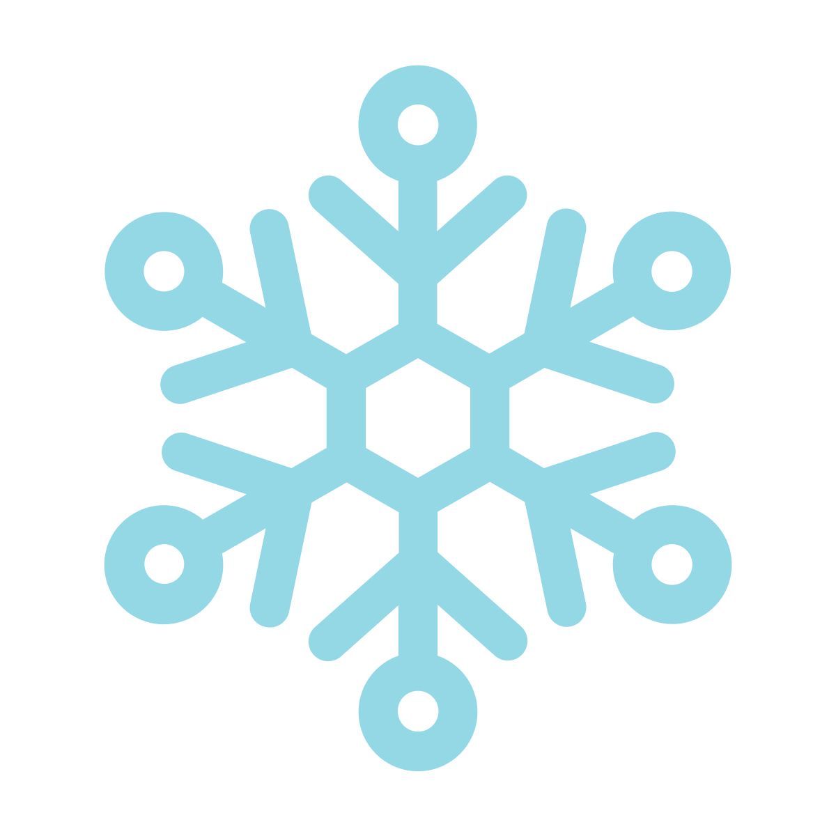 snowflake icon