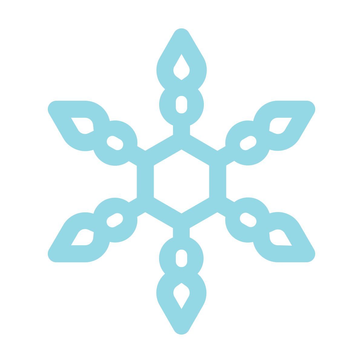 Floco de neve icon