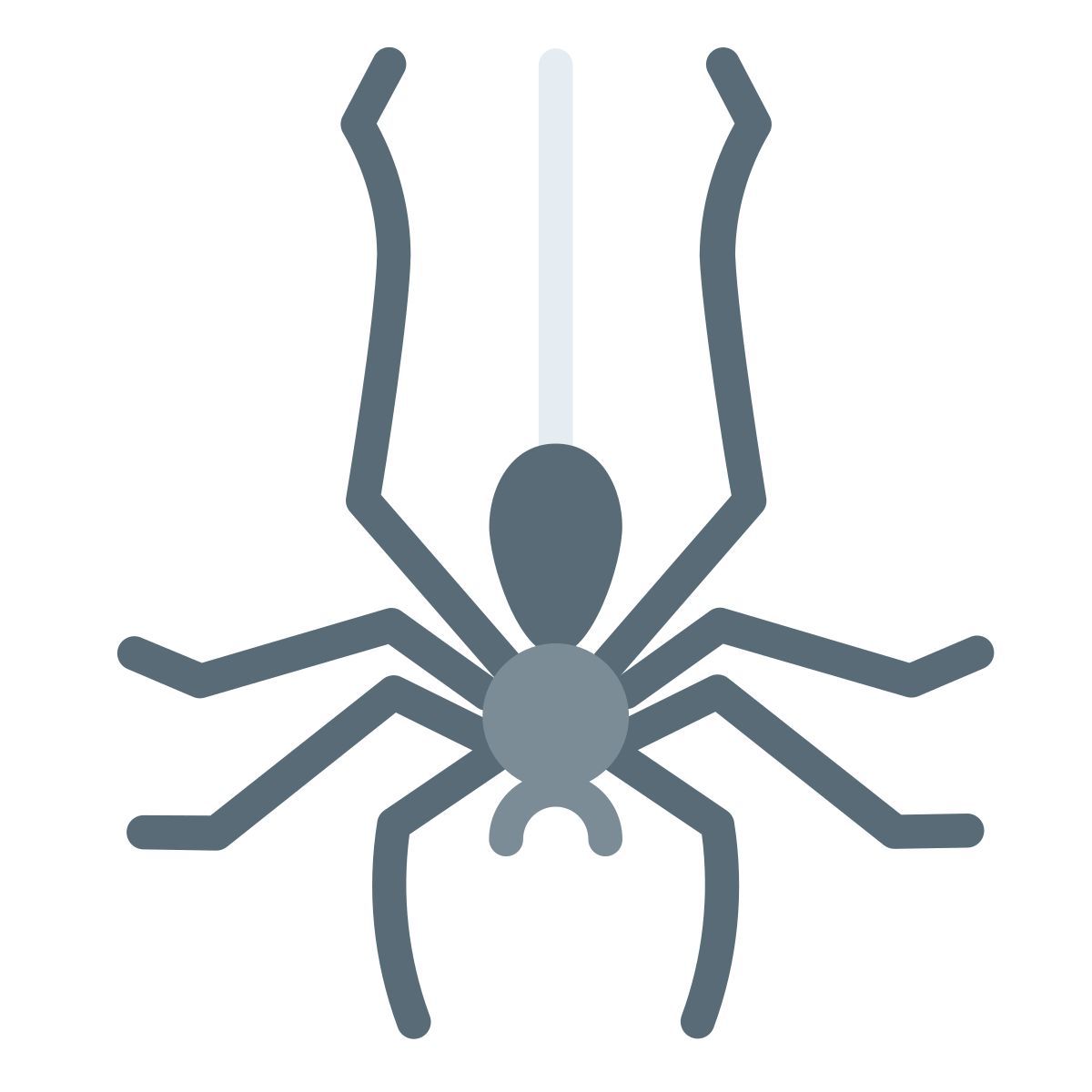 ragno icon