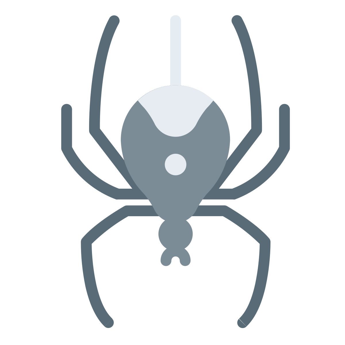 ragno icon