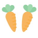 external carrot-vegetable-flat-lima-studio icon